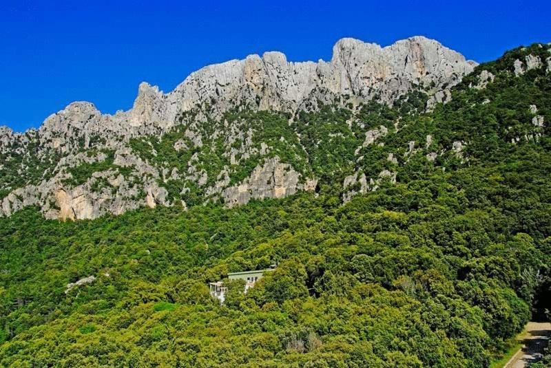 ホテル S'Enis Monte Maccione オリエーナ エクステリア 写真
