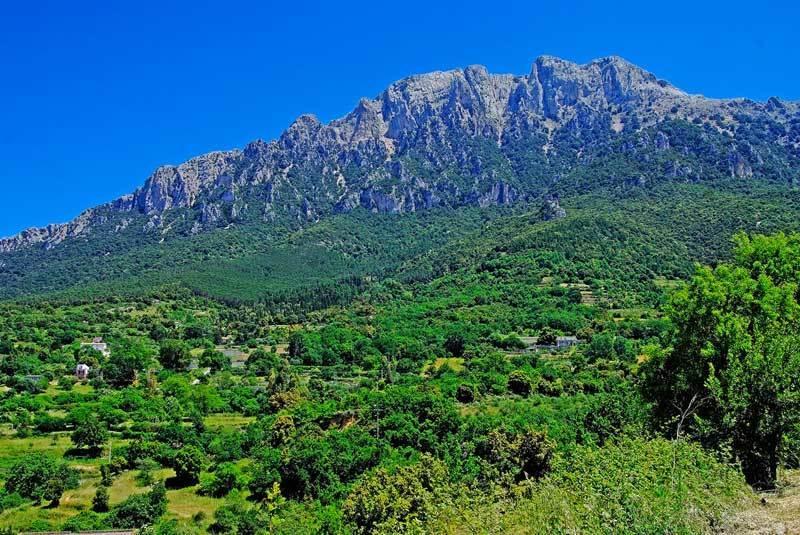 ホテル S'Enis Monte Maccione オリエーナ エクステリア 写真